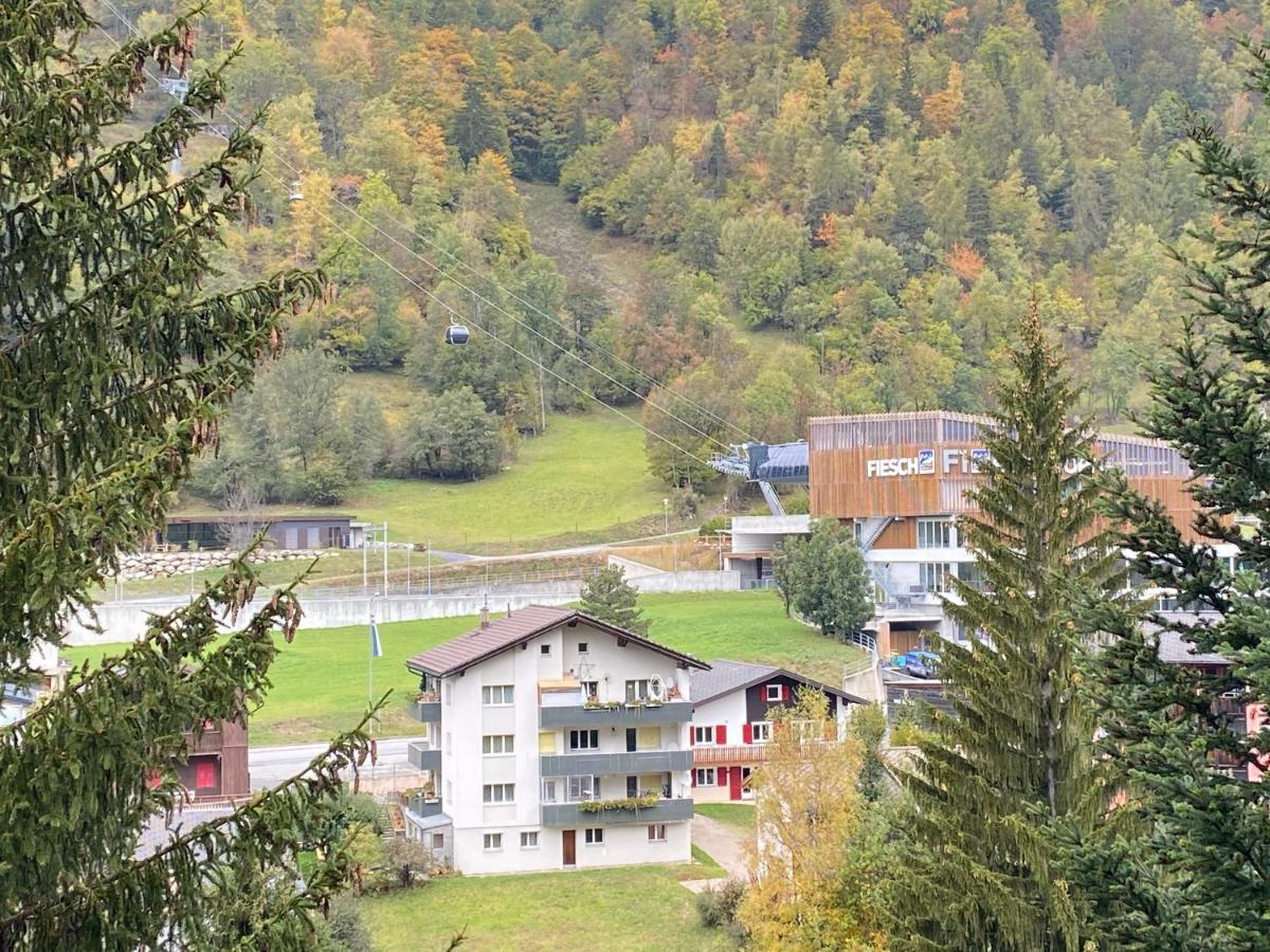 Hotel Lodge Inn Fiesch Extérieur photo